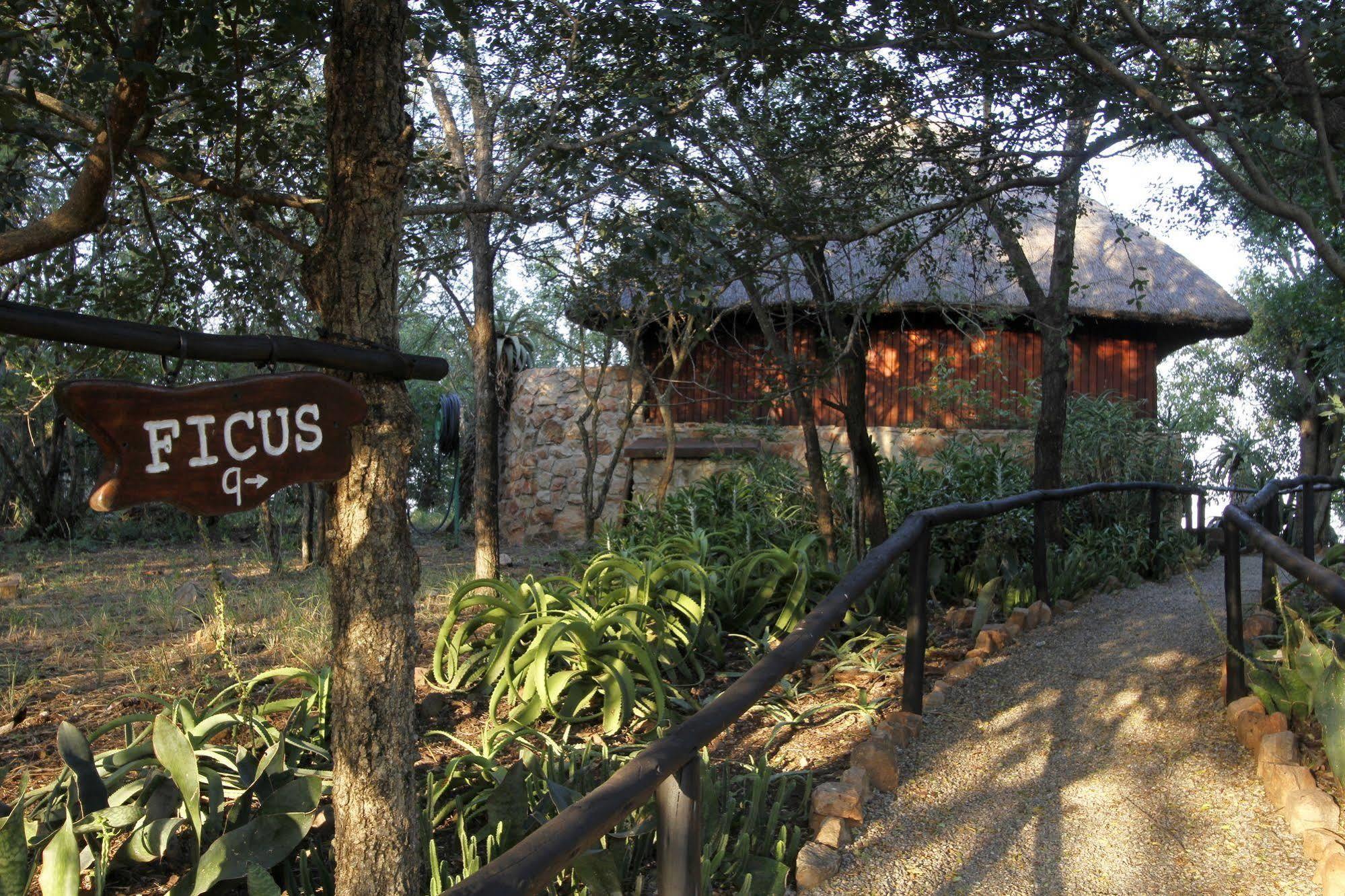 Shayamoya Tiger Fishing And Game Lodge Pongola Exterior foto
